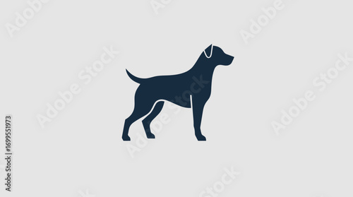 A dark-colored dog silhouette stands alert, showcasing its elegant posture and breed characteristics.