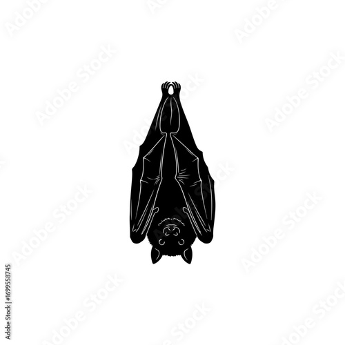 Black bat hanging upside down silhouette isolated on white background