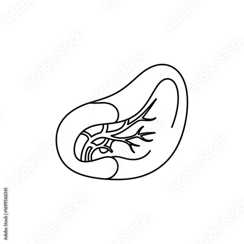 a stylized line drawing of the adrenal gland, a small, triangular-shaped endocrine gland.