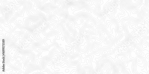 Abstract minimal The pattern discovery vector topo map creative discovery White wave grid stripe line map topography. vector geographic contour mounted map background.	
