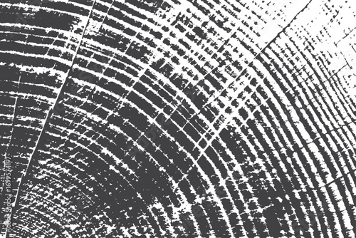 wood texture Grunge Abstract dust particle and dust grainy scratches and stains grunge effect, old and grainy black and white urban vector texture. design brush strokes. Overlay texture. Faded black.