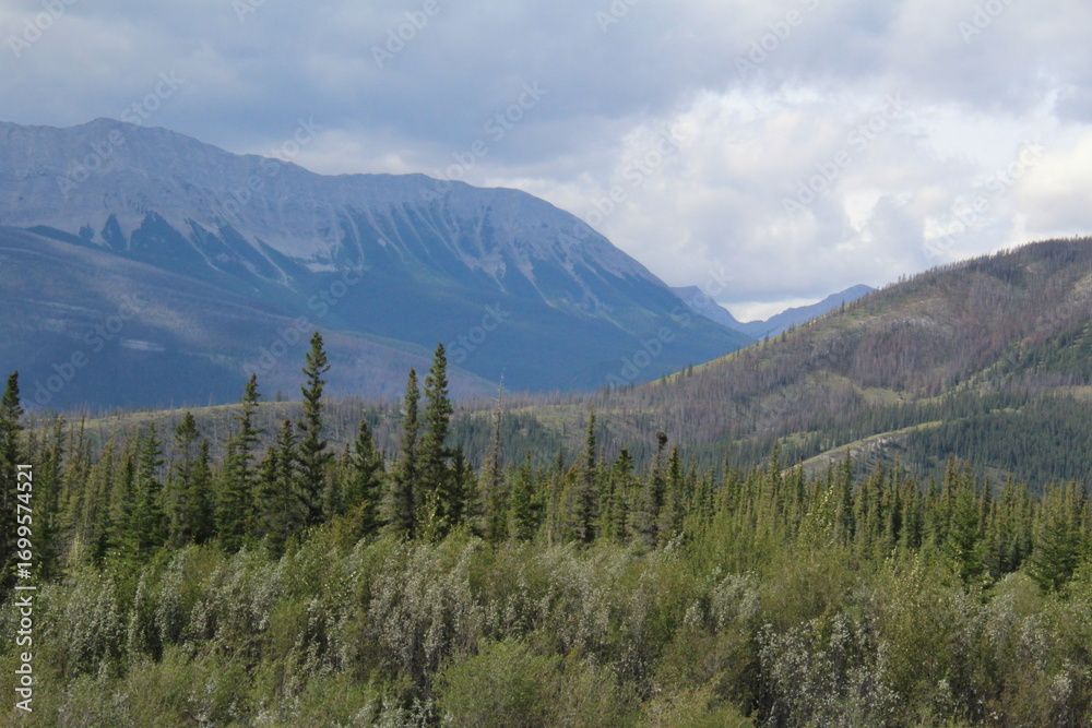 Fototapeta premium Looking Into The Ridge, Jasper National Park, Alberta