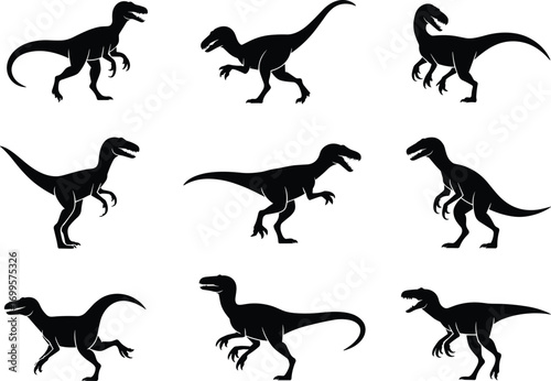 Collection of velociraptor dinosaur silhouettes vector illustration, prehistoric predator poses, Jurassic wild creatures, ancient reptiles, dangerous carnivores, evolution animal shadow icons