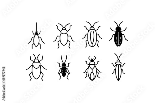8 different hard shell insect icons line art vector