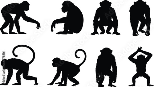 Silhouette monkey collection in different poses standing, sitting, climbing, walking, isolated vector illustration for wildlife, nature, jungle animals, primates, zoo, and biology concepts.