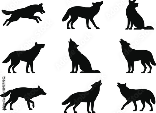  Silhouette vector illustration of wolves in different poses, howling, standing, walking, running, wild animal predator collection design isolated on white background