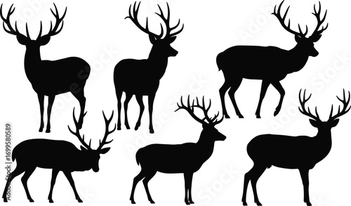 Silhouette of Deer with Antlers, Vector Wildlife Set, Majestic Stag Poses, Hunting Theme Graphic, Forest Animal Illustration Art