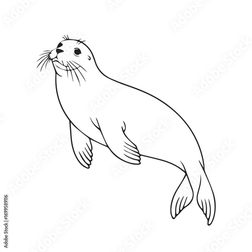 Simple black line art drawing of a Seal in a minimalist style on a white background.