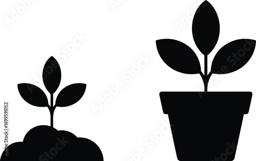Black silhouette of young plant seedling growing from soil and potted plant with leaves, gardening, nature, growth, environment, eco-friendly concept