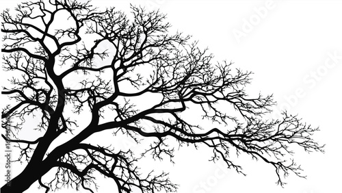 Safe Box Security Illustration