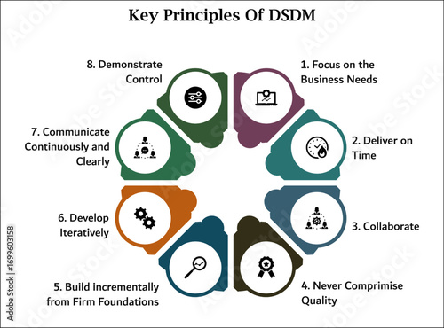 Key Principles Of DSDM. Infographic template with icons and description placeholder
