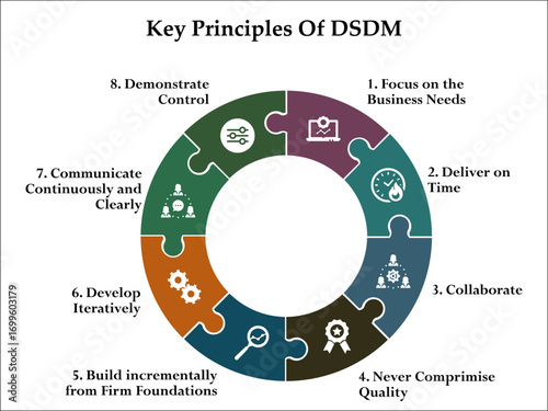 Key Principles Of DSDM. Infographic template with icons and description placeholder