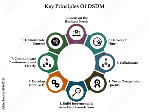 Key Principles Of DSDM. Infographic template with icons and description placeholder