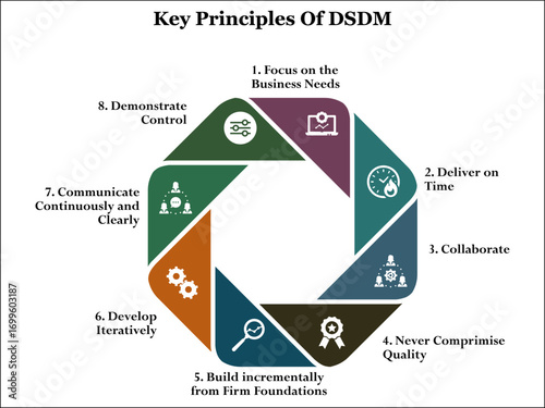 Key Principles Of DSDM. Infographic template with icons and description placeholder