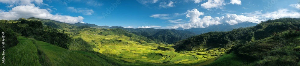 Naklejka premium Panoramic hdr landscape rice fields nature