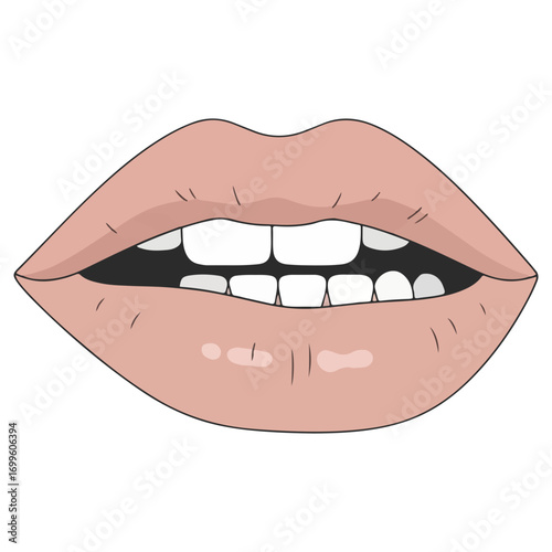 A detailed illustration of beautiful female lips, slightly parted. A colored drawing showing a woman's mouth with teeth visible. Beauty and cosmetic concept.