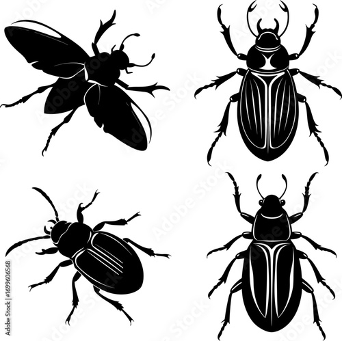 Vector collection of beetle