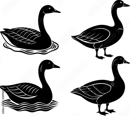 goose silhouette vector, Black silhouette of goose vector bundle logo illustration set, goose head art, goose  vector illustration