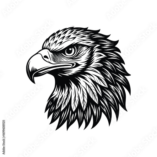 Eagle head silhouette, eagle head logotype