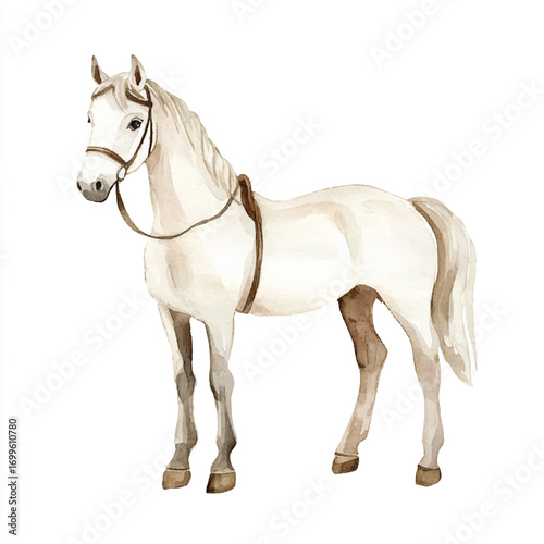 A beautiful white horse with a light brown bridle and saddle.