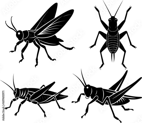 Grasshopper silhouette vector, Black silhouette of Grasshopper vector bundle logo illustration set, Grasshopper head art, Grasshopper vector illustration