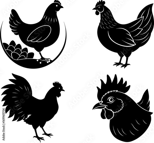 Hen silhouette vector, Black silhouette of Hen vector bundle logo illustration set, Hen head art, Hen vector illustration
