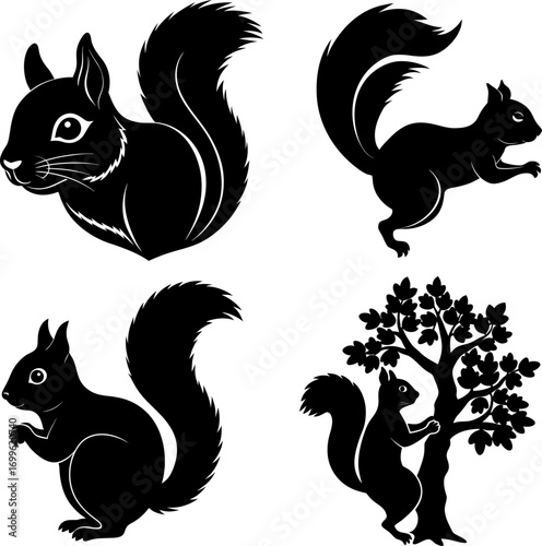 squirrel silhouette vector, Black silhouette of squirrel vector bundle logo illustration set, squirrel head art, squirrel vector illustration