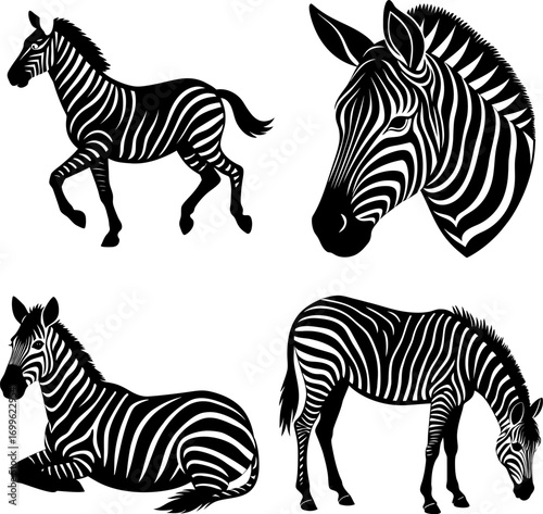 Zebra silhouette vector, Black silhouette of Zebra vector bundle logo illustration set, Zebra head art, Zebra  vector illustration