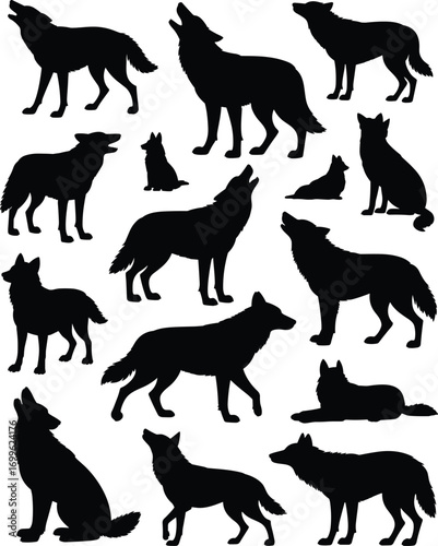 Silhouettes of wolves in various poses, wild animal shapes, wolf pack illustration, nature wildlife, forest predators, animal behavior, wild canines