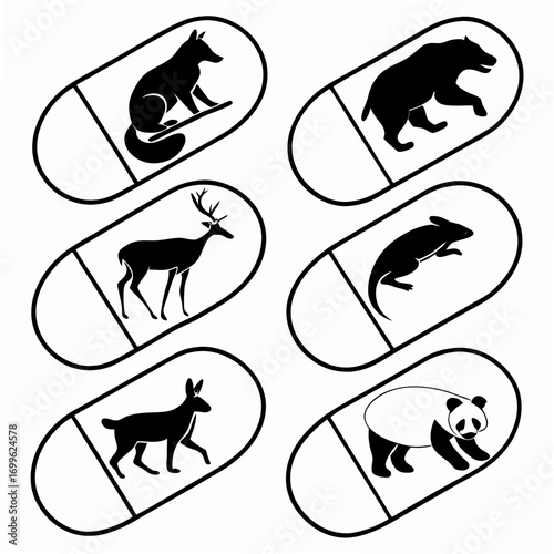 no dogs allowed