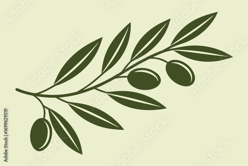 Dark green olive branch with leaves and olives on cream background vector illustration