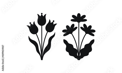 Black tulip and daisy silhouettes on white background
