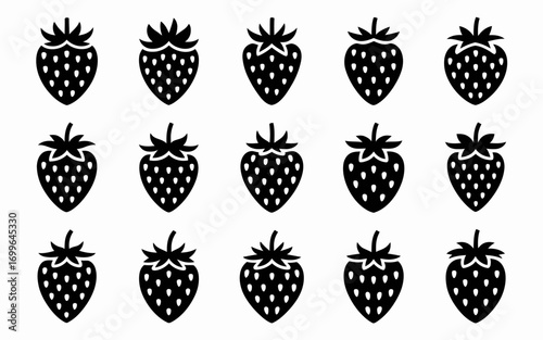 set of different kinds of corn