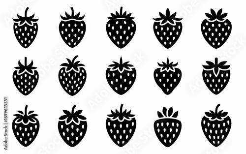 set of different kinds of corn
