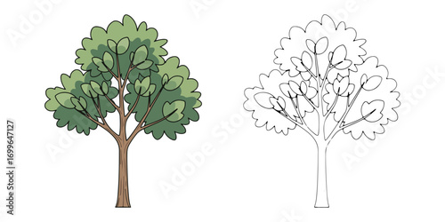 A simple tree illustration in both full color and black and white line art. Perfect for coloring books, nature designs, or educational materials.