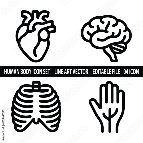Human body icon set. Simple Flat line human body icons pack with editable stroke. Vector illustration