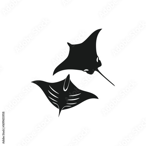 vector illustration of a witch flying