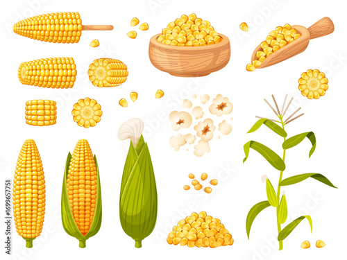 Cartoon sweet corn plants. Maize harvest, farm product, vegetable agriculture elements, spikelets and grains in wooden bowl, popcorn, yellow cobs, plant with leaves classy vector isolated set