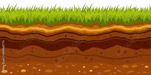 Cross section of rich soil layers with green grass on top