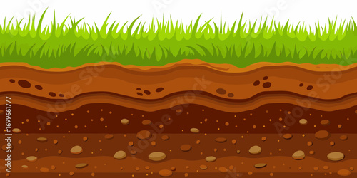 Cross section of green grass and soil layers with rocks