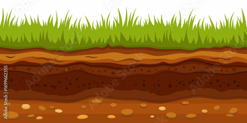 Cross section of soil layers with green grass on top