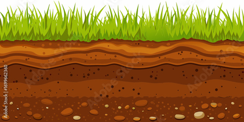 Cross section of soil layers with green grass on top