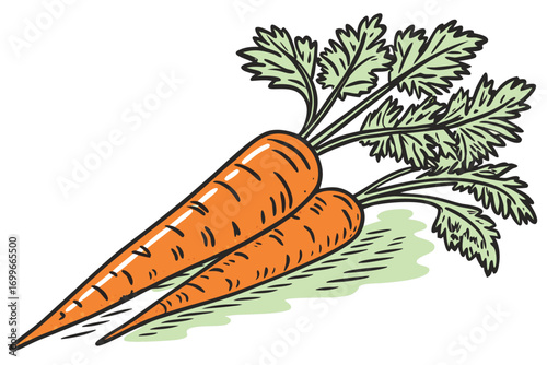 carrot vector icon