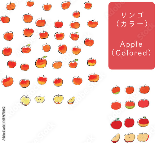 リンゴ ｜Apple