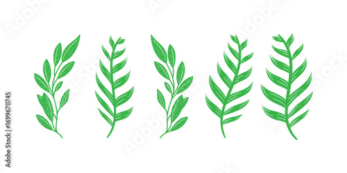 Collection of lush green forest fern, tropical palm, natural greenery, leaves, herbs and foliage elements illustration for botanical decoration, eco friendly digital design