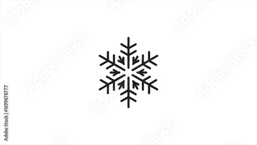 Vector snowflake line icon isolated on a white background. Simple winter weather symbol, cold temperature graphic element for design projects