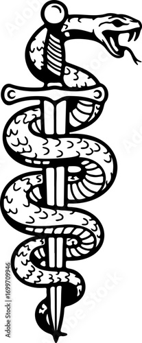 Elegant Caduceus symbol entwined with a striking serpent and sharp dagger conveying healing, commerce, and protection powerfully