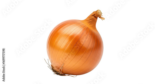 Wallpaper Mural Single Brown Onion On Black Background Torontodigital.ca