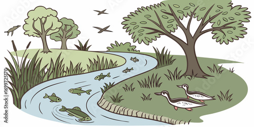 Cartoon illustration of a river ecosystem with fish and birds