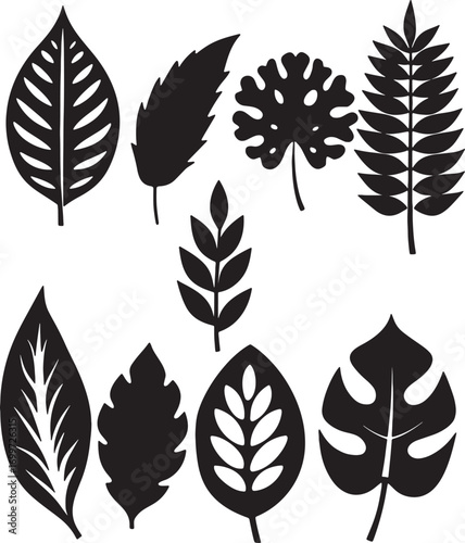 Set of Assorted Black Leaf Silhouettes